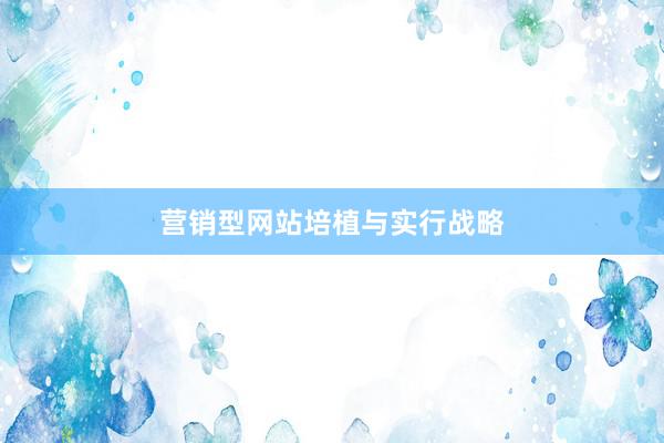 营销型网站培植与实行战略